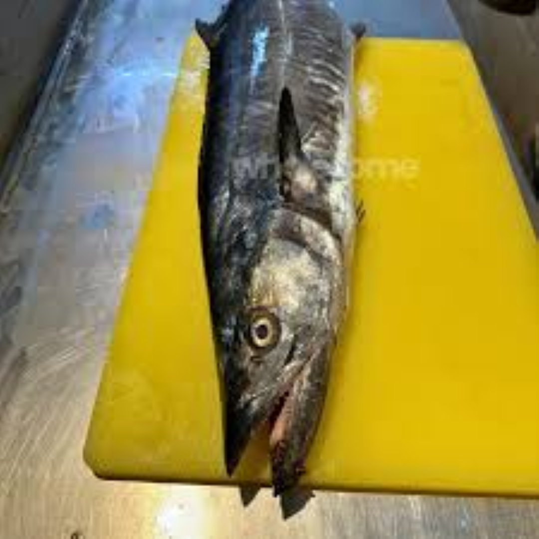 MBL WHOLE KING FISH(WITH HEAD N TAIL)